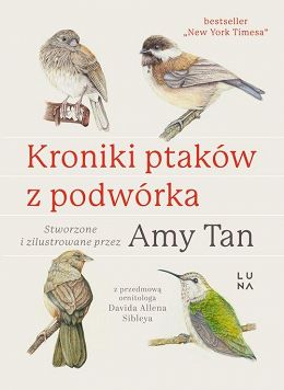 Kroniki ptaków z podwórka