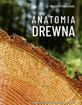 Anatomia drewna
