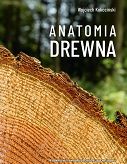 Anatomia drewna