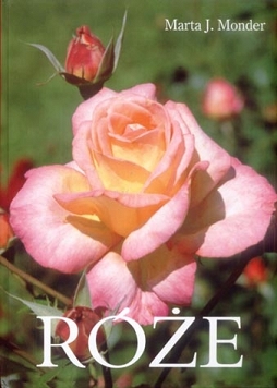 Róże