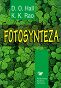 Fotosynteza