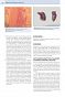 Dermatologia Praktyka Lekarza Małych Zwierząt - 2