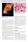 Dermatologia Praktyka Lekarza Małych Zwierząt - 4