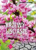 Krzewy liściaste na suche czasy