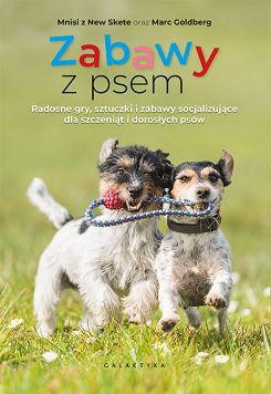 Zabawy z psem