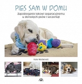 Pies sam w domu