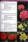 Katalog róż 