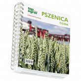 Pszenica ozima - przewodnik polowy