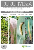 Kukurydza. Identyfikacja agrofagów, niedoborów pokarmowych oraz innych czynników