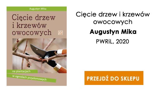 Cięcie drzew i krzewów owocowych