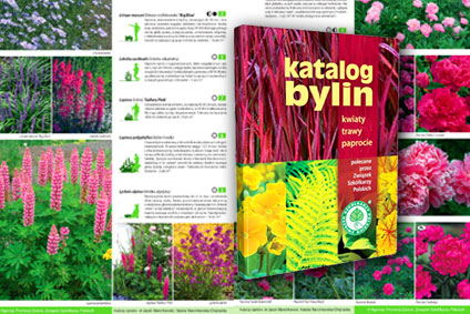 Katalog bylin przykładowa strona