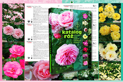 Katalog róż przykładowa strona