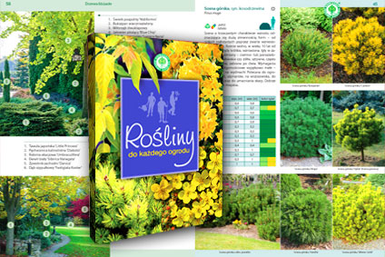 Rośliny do każdego ogrodu przykładowe zdjęcie